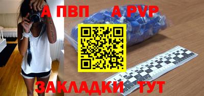 СК Новозыбков