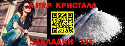 СК Новозыбков
