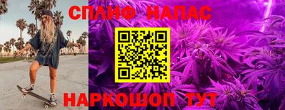 ПСИЛОЦИБИНОВЫЕ ГРИБЫ Новокубанск