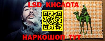 ПСИЛОЦИБИНОВЫЕ ГРИБЫ Новокубанск