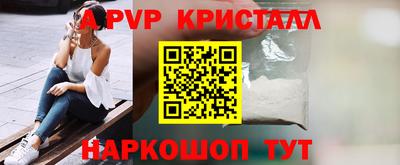 СК Новозыбков