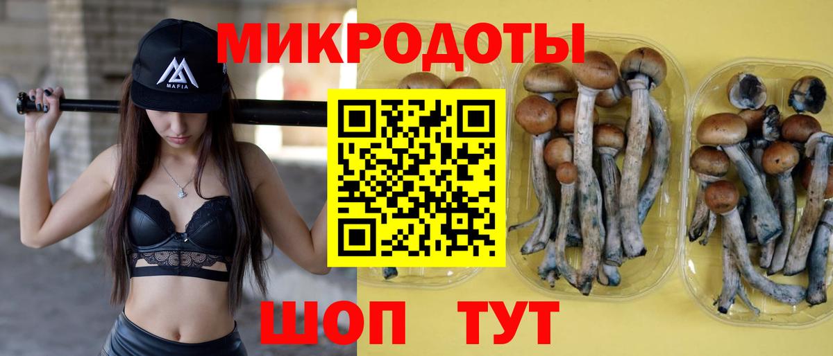 Ханты-Мансийск  Псилоцибиновые грибы Cubensis  Вход с VPN  Галлюциногенные грибы Magic Shrooms 